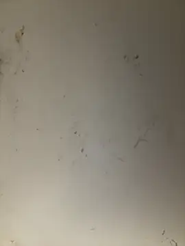 ANNIE 10- online show from April 11, 2026, 5:27 pm