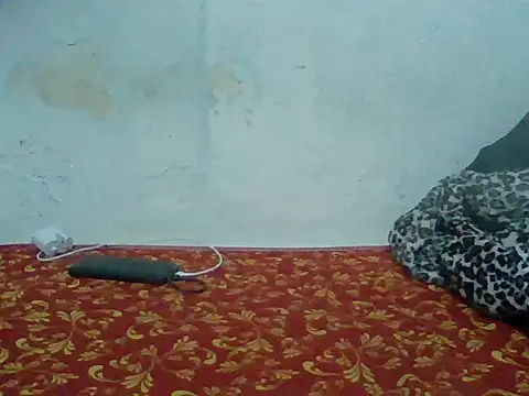 Rato250 online show from April 8, 2026, 6:42 pm