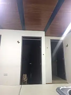 yvonne 1998 online show from April 15, 2026, 10:10 pm