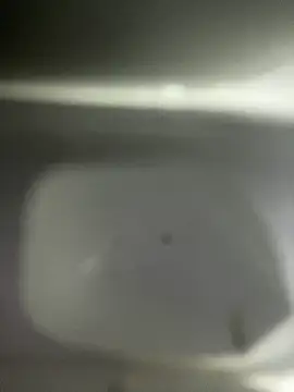 scarlett turner  online show from April 9, 2026, 2:35 am