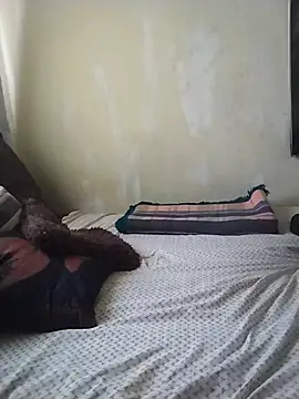 SteedyGee online show from May 24, 2026, 11:32 am