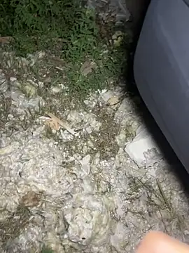 yingzi003 online show from April 15, 2026, 12:53 pm