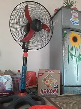 -Bianmi- online show from April 9, 2026, 6:52 am