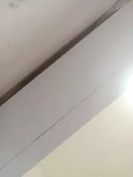 ScarletVibe online show from April 17, 2026, 11:35 am