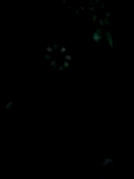 Snapshot of babyandbha chatting on May 13, 2026, 7:37 am babyandbha online show from May 13, 2026, 7:37 am