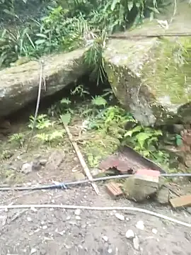 anhhuyen1 online show from April 5, 2026, 12:06 am