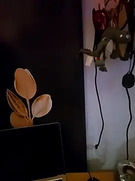 Kwiatywmroku online show from April 9, 2026, 3:19 am