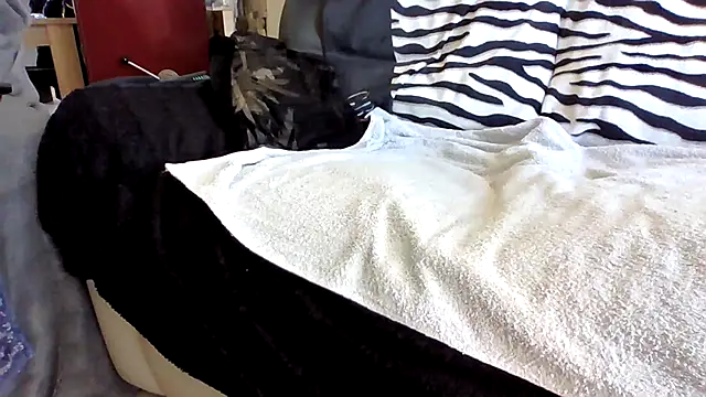 Beseb2 online show from April 17, 2026, 1:03 pm