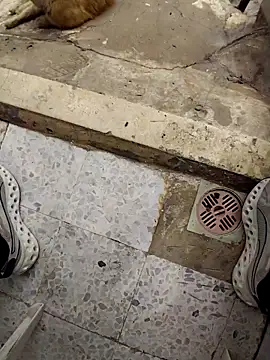 SwoppedEyedrop online show from April 15, 2026, 11:05 am