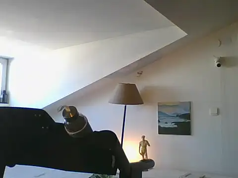 AmeliFoxi online show from April 18, 2026, 9:00 am