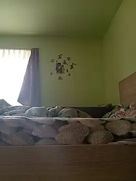 Mariofls online show from June 1, 2026, 1:44 pm