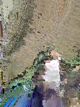 dickforpussyy online show from April 16, 2026, 5:52 am