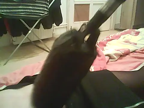 doll-cd online show from April 19, 2026, 6:21 pm