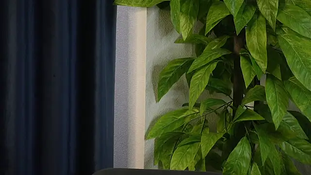 SelmaHjort online show from April 27, 2026, 11:52 am