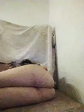 Vina-arab online show from April 28, 2026, 6:34 pm