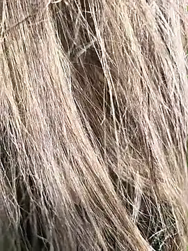 erikthor online show from June 26, 2026, 8:14 pm