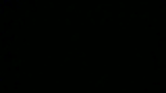 Snapshot of SamuelTal chatting on August 6, 2026, 5:41 pm SamuelTal online show from August 6, 2026, 5:41 pm