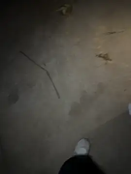   I like    online show from April 30, 2026, 2:46 pm