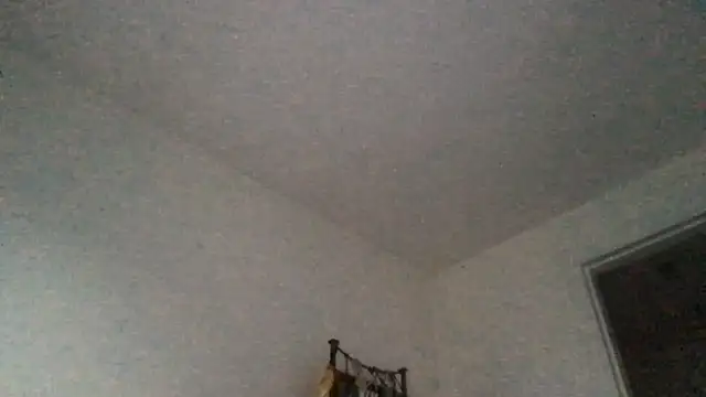 Snapshot of Miss_juicybabes chatting on May 11, 2026, 7:22 pm Miss juicybabes online show from May 11, 2026, 7:22 pm
