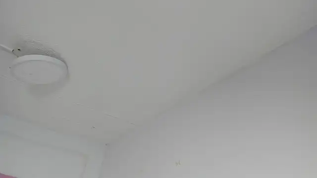 Sharon Adamss online show from July 9, 2026, 7:24 pm