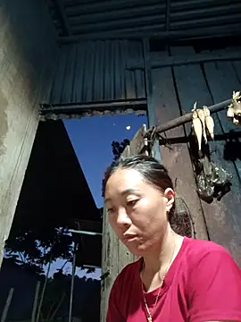 Jinli 01 online show from May 20, 2026, 12:13 pm