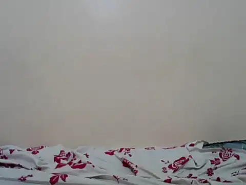 Snapshot of Hornysmoker20 chatting on July 7, 2026, 6:47 am Hornysmoker20 online show from July 7, 2026, 6:47 am