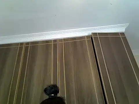 Snapshot of catalina245 chatting on July 17, 2026, 12:46 pm catalina245 online show from July 17, 2026, 12:46 pm