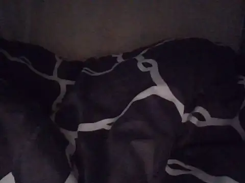 fatpusy002 online show from June 26, 2026, 3:45 am