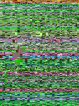 Snapshot of ck1998_02 chatting on June 28, 2026, 9:59 am ck1998 02 online show from June 28, 2026, 9:59 am