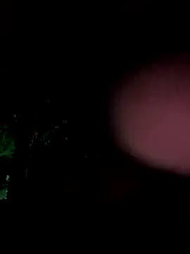 BobyBoy69 online show from August 1, 2026, 12:08 am