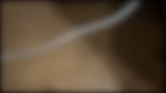 fuckr66669 online show from July 19, 2026, 10:34 am