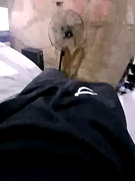 Ricapajarica online show from January 14, 2026, 3:15 pm