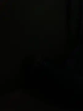 Snapshot of Raajaaryan chatting on July 9, 2026, 6:29 pm Raajaaryan online show from July 9, 2026, 6:29 pm