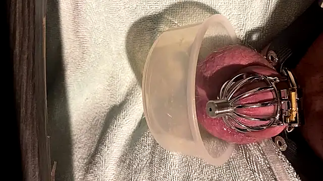 Chastitysissy07 online show from June 20, 2026, 12:21 pm