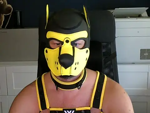 Snapshot of WildyLynx chatting on July 7, 2026, 3:37 pm WildyLynx online show from July 7, 2026, 3:37 pm