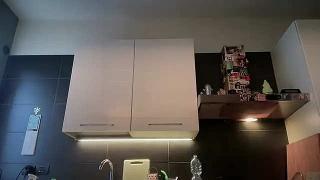 theitalianbear online show from February 6, 2026, 6:42 am