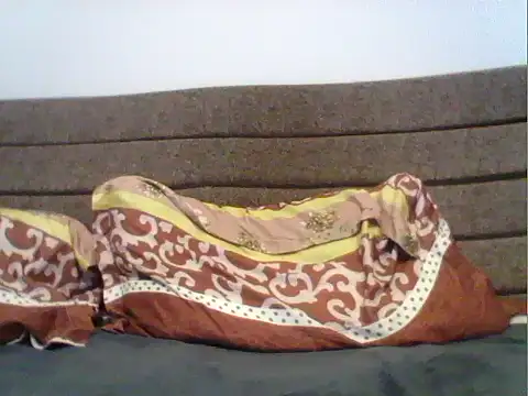 parshivu online show from October 27, 2025, 5:47 pm