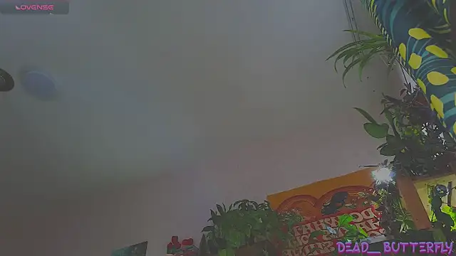 Dead Butterfly online show from December 14, 2024, 9:29 am