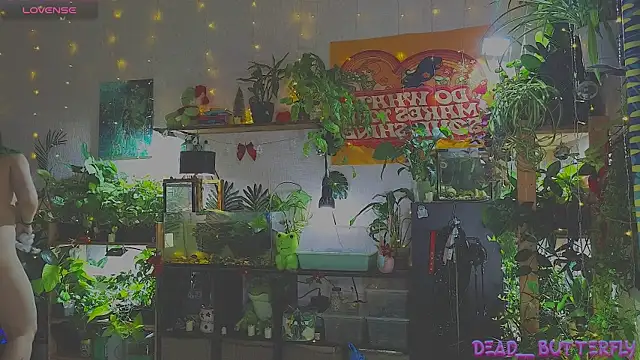 Dead Butterfly online show from January 12, 2025, 3:28 am