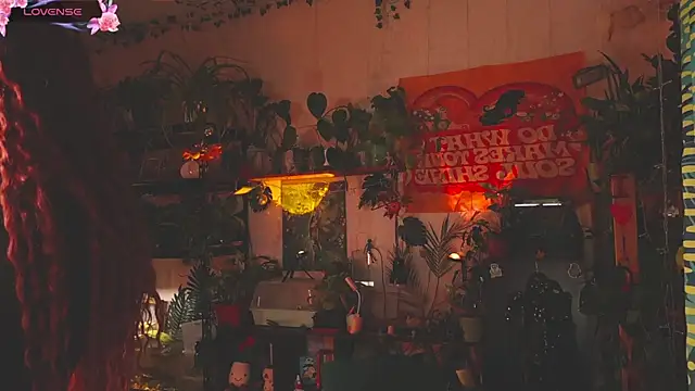 Dead Butterfly online show from November 18, 2025, 3:32 am