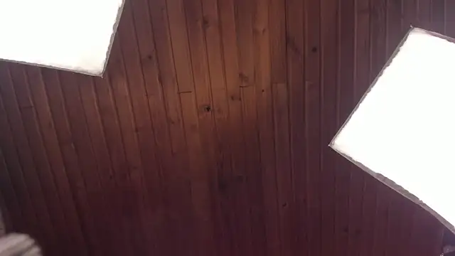 coraline latin online show from February 21, 2025, 1:11 am