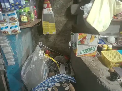 FriskyGender online show from October 29, 2025, 6:40 pm