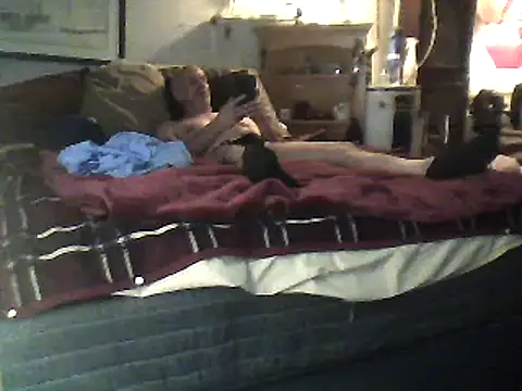 Biknight online show from February 12, 2025, 4:44 am