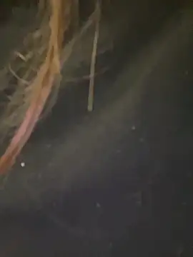 Jane BBW online show from October 1, 2025, 2:10 pm