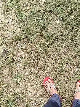 ThethunderPo online show from November 4, 2025, 4:16 am