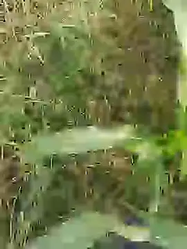 ThethunderPo online show from March 29, 2026, 2:57 am