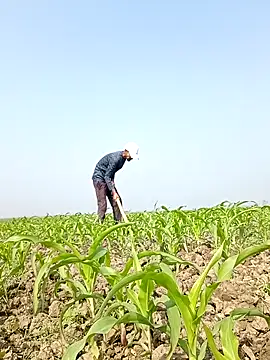 ThethunderPo online show from February 6, 2026, 4:41 am