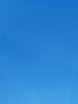 UncutHammer69 online show from April 7, 2026, 4:20 pm