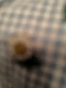 geilerboy2628 online show from March 13, 2026, 2:16 am