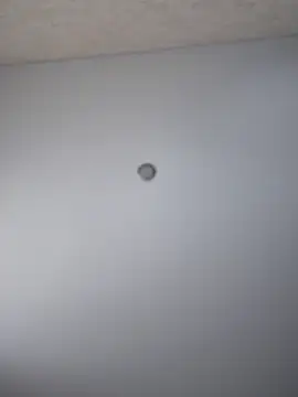 so cutes online show from March 17, 2025, 12:14 pm